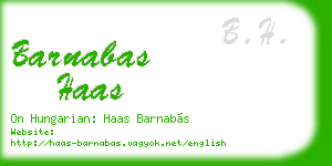 barnabas haas business card